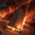 Registro de voraz incendio en instalaciones de la Granja Alpera en Tepic; reportan cuantiosas pérdidas y miles de aves muertas.